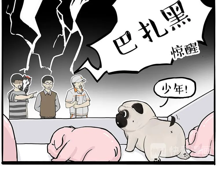 第247话 巴扎猪 第45页