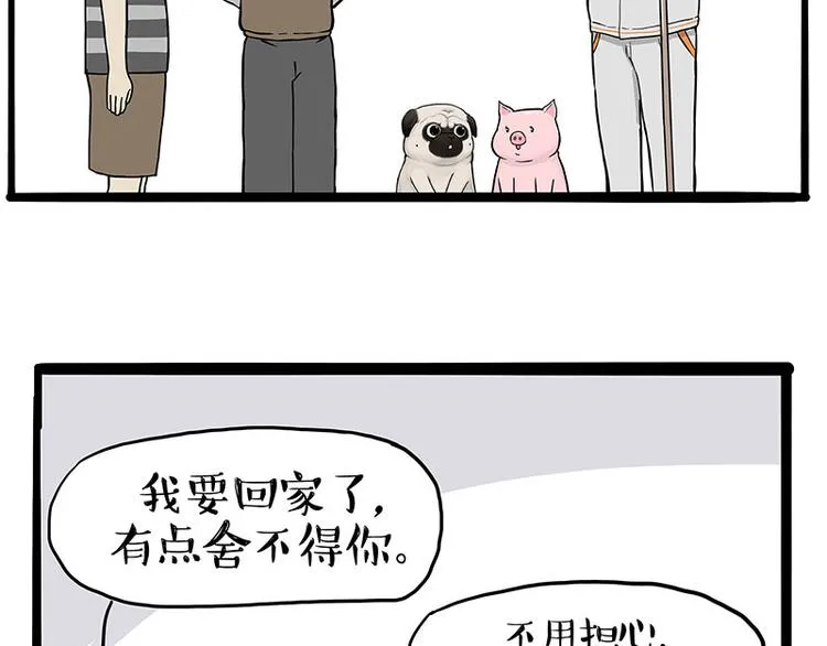 第247话 巴扎猪 第48页