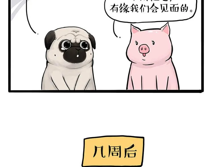 第247话 巴扎猪 第49页