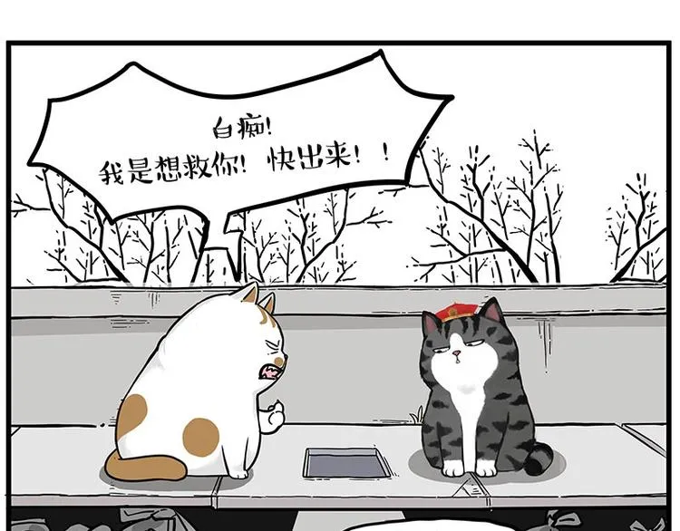第248话 童话是真的 第5页
