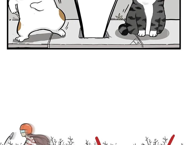 第248话 童话是真的 第10页