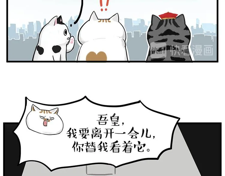 第248话 童话是真的 第27页