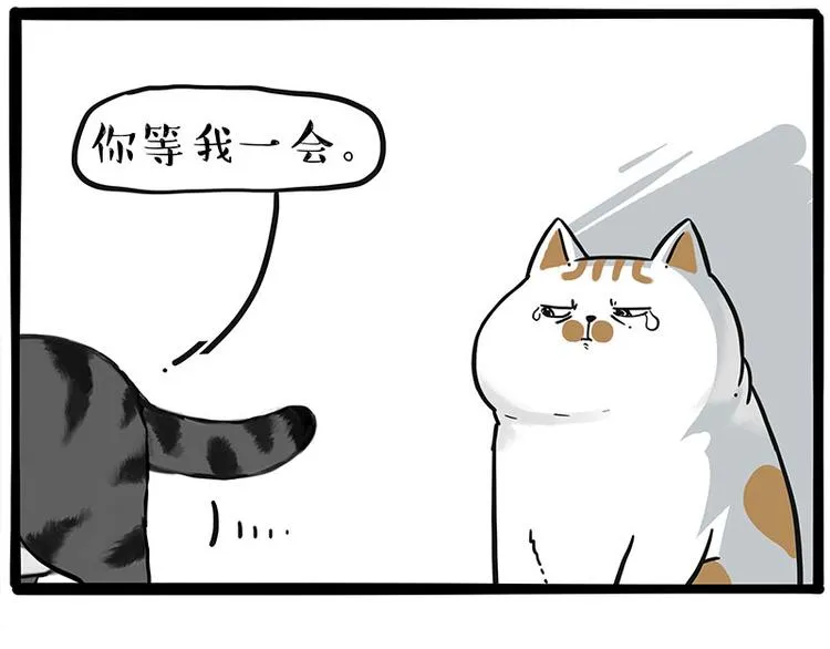 第249话 黑黑快跑！ 第13页