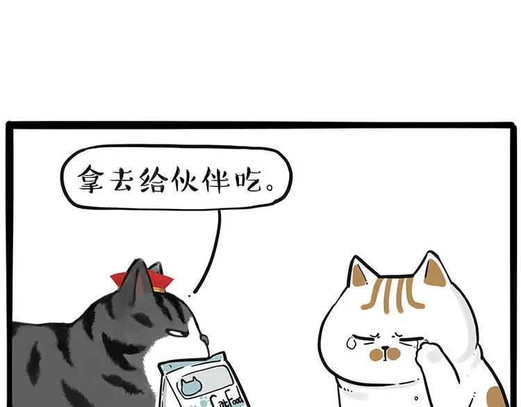 第249话 黑黑快跑！ 第14页