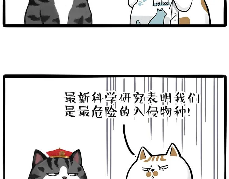 第249话 黑黑快跑！ 第18页