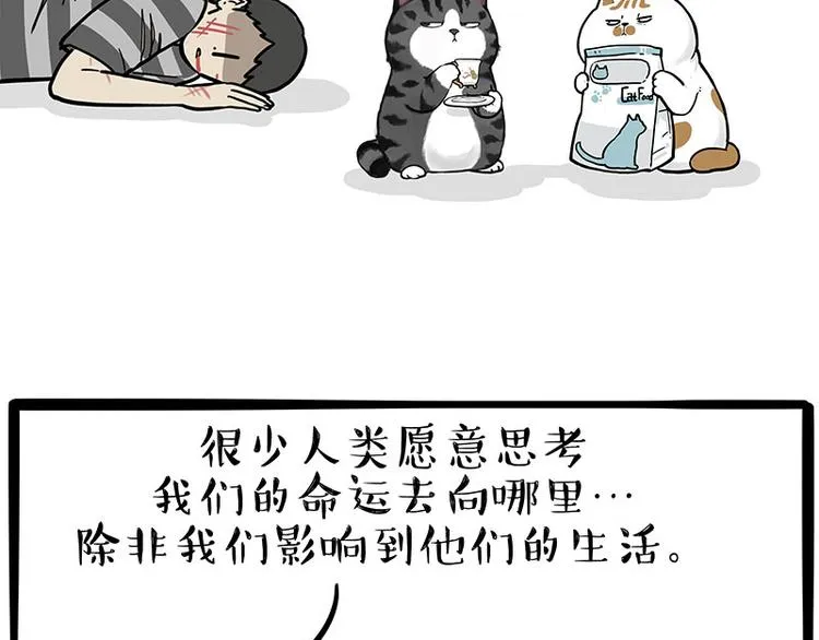第249话 黑黑快跑！ 第26页