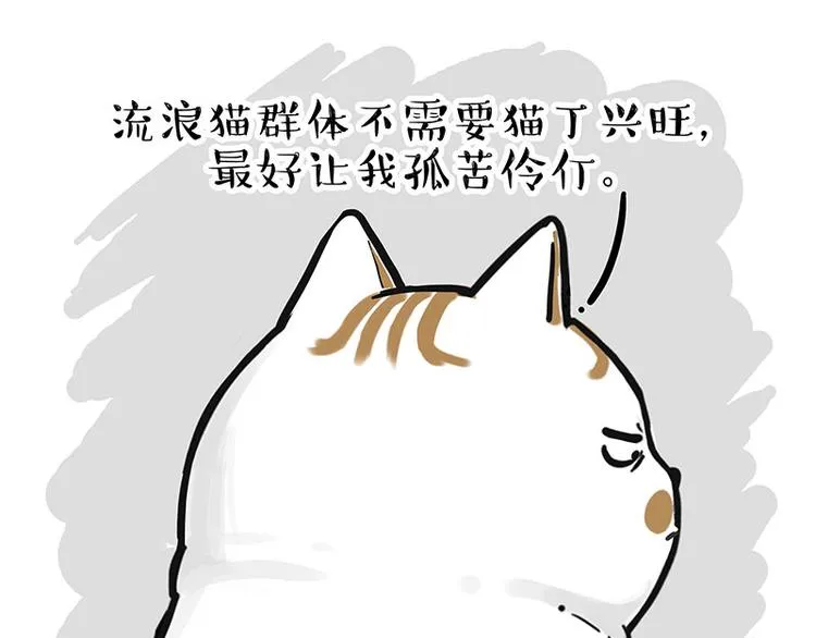 第249话 黑黑快跑！ 第29页
