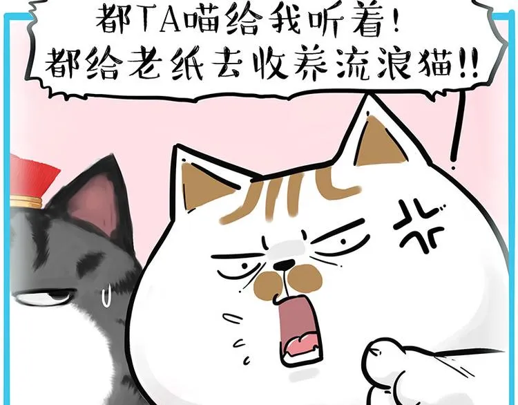 第249话 黑黑快跑！ 第40页