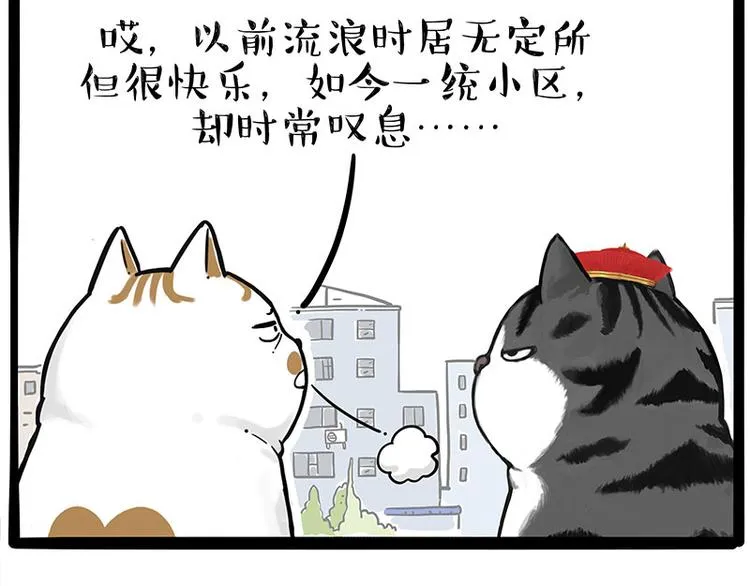 第249话 黑黑快跑！ 第51页