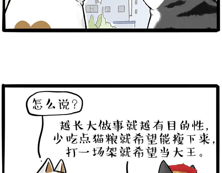 第249话 黑黑快跑！ 第53页