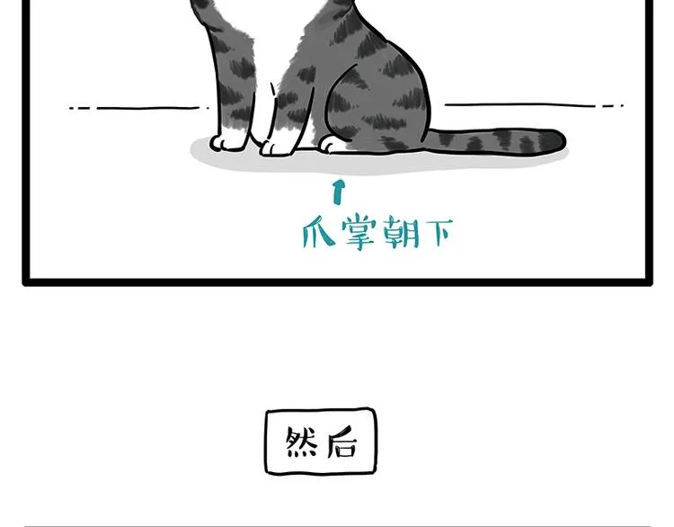 第250话 不择手段 第19页