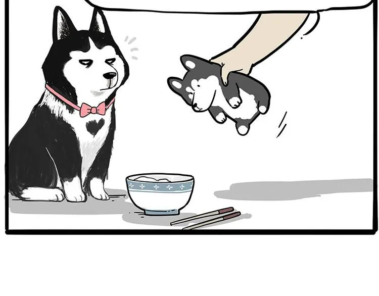 第253话 与狗争饭 第40页