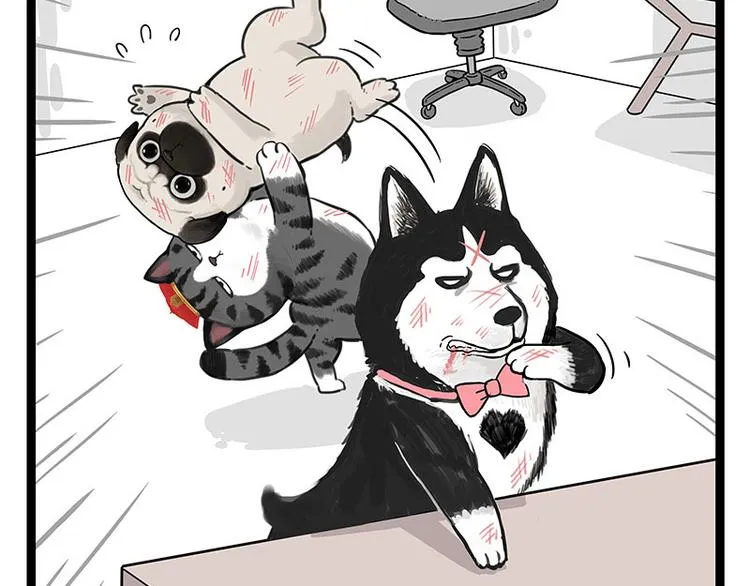 第254话 摔角大赛谁与争锋 第11页