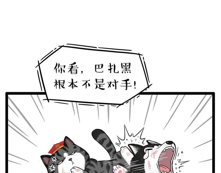 第254话 摔角大赛谁与争锋 第14页