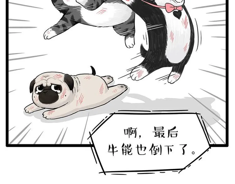 第254话 摔角大赛谁与争锋 第15页