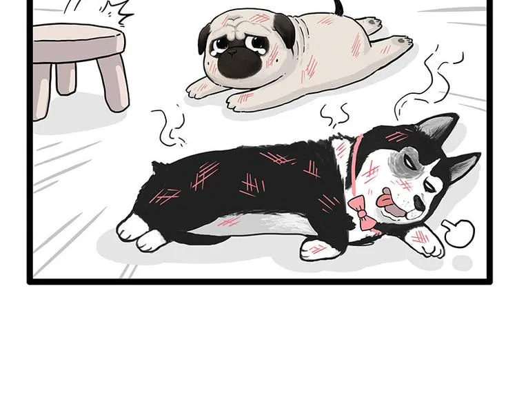 第254话 摔角大赛谁与争锋 第23页