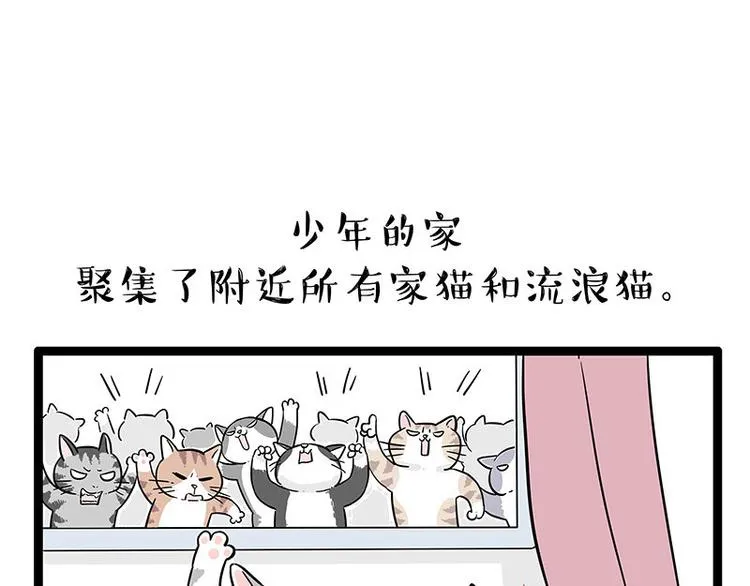 第254话 摔角大赛谁与争锋 第30页