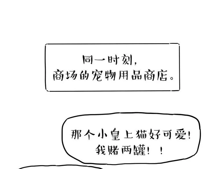 第254话 摔角大赛谁与争锋 第34页