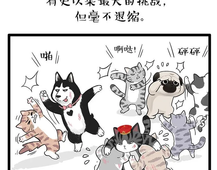 第254话 摔角大赛谁与争锋 第39页