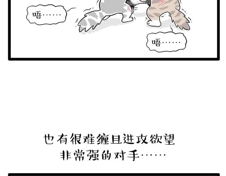 第254话 摔角大赛谁与争锋 第40页