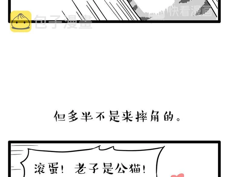 第254话 摔角大赛谁与争锋 第42页
