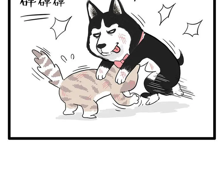 第254话 摔角大赛谁与争锋 第45页