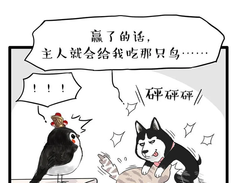 第254话 摔角大赛谁与争锋 第46页