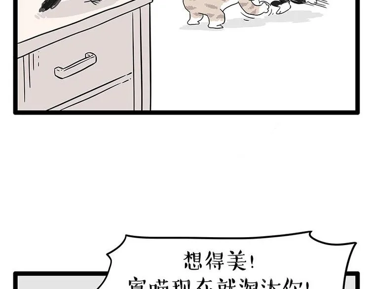 第254话 摔角大赛谁与争锋 第47页