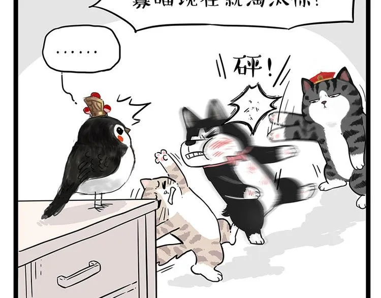 第254话 摔角大赛谁与争锋 第48页