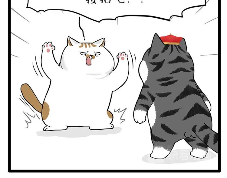 第254话 摔角大赛谁与争锋 第50页