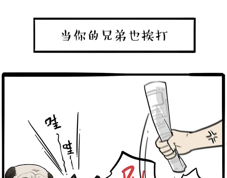 第256话 狗朋友 第11页