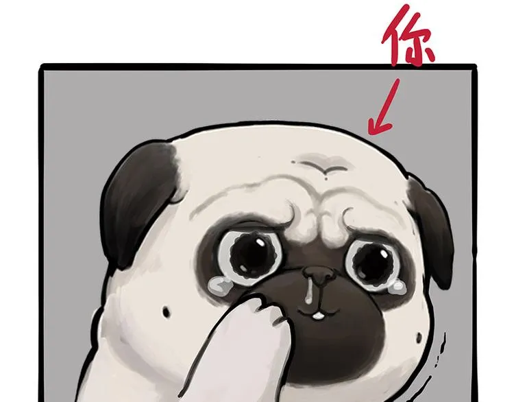 第256话 狗朋友 第13页