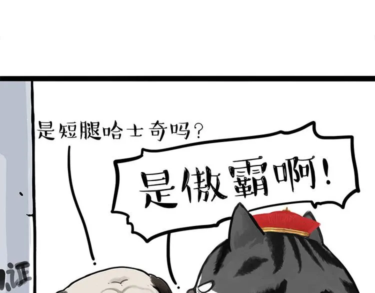 第258话 靠脸吃饭 第10页