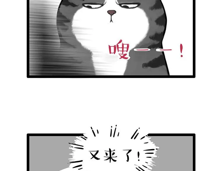 第260话 孤独解药 第25页