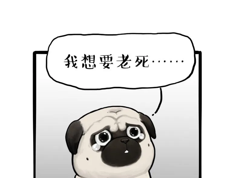 第261话 灭蟑？ 第12页