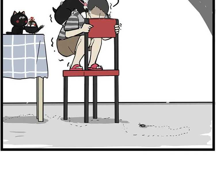 第261话 灭蟑？ 第16页