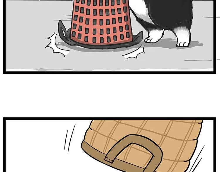 第261话 灭蟑？ 第30页