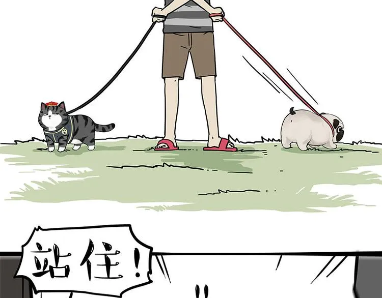 第262话 忠犬巴扎黑？！ 第13页