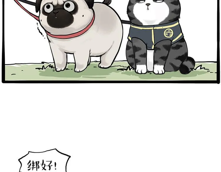 第262话 忠犬巴扎黑？！ 第21页