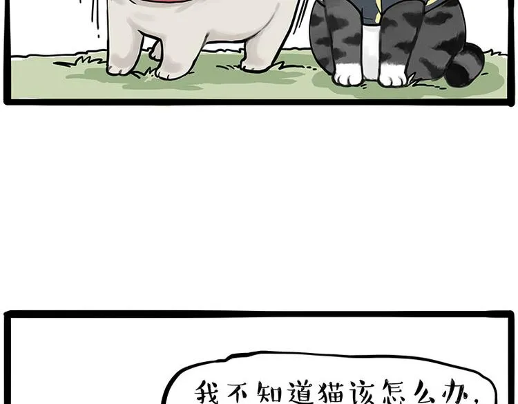 第262话 忠犬巴扎黑？！ 第24页