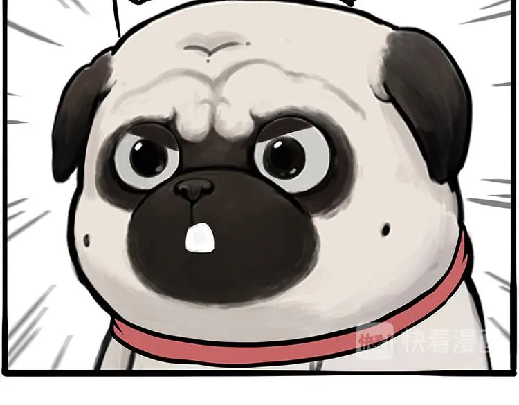 第262话 忠犬巴扎黑？！ 第45页