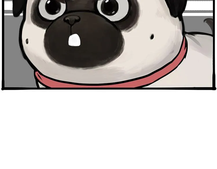 第262话 忠犬巴扎黑？！ 第49页
