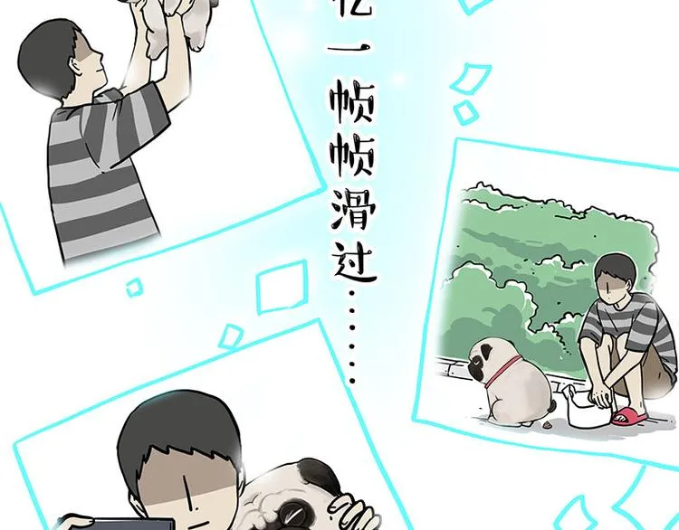 第262话 忠犬巴扎黑？！ 第52页