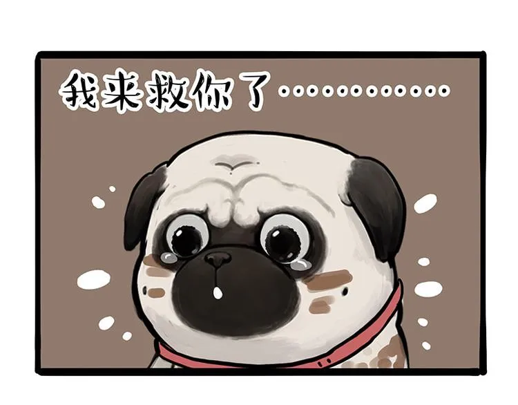 第262话 忠犬巴扎黑？！ 第65页