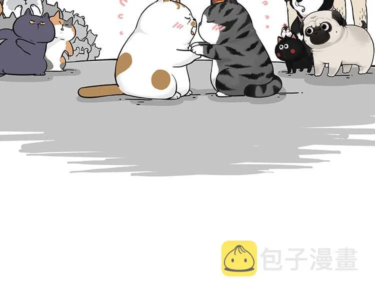 第263话 没心没肺的快乐 第13页