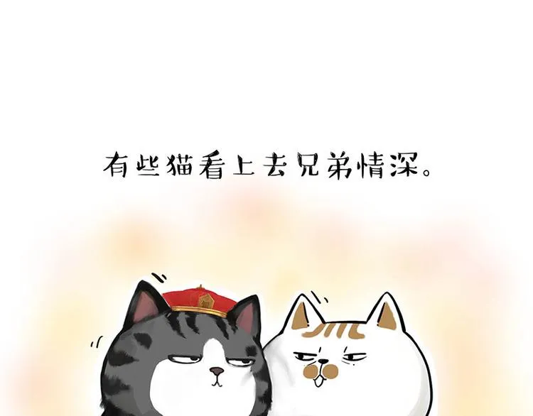 第263话 没心没肺的快乐 第15页