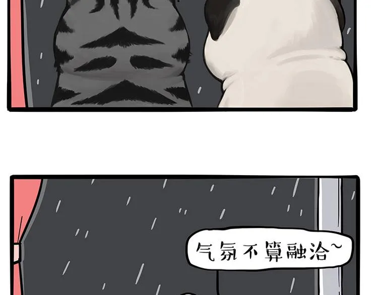 第265话 雨夜“惊魂” 第3页