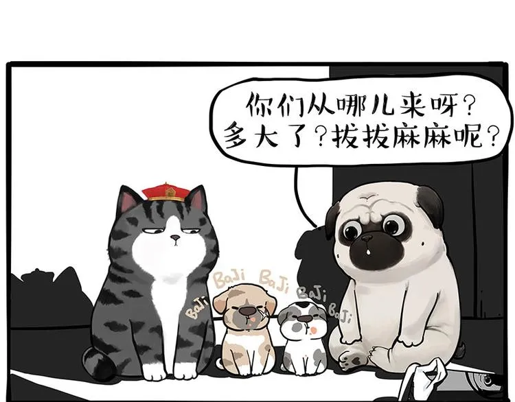 第267话 不让你流浪 第1页