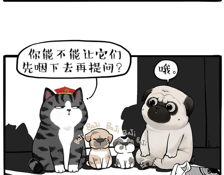 第267话 不让你流浪 第2页