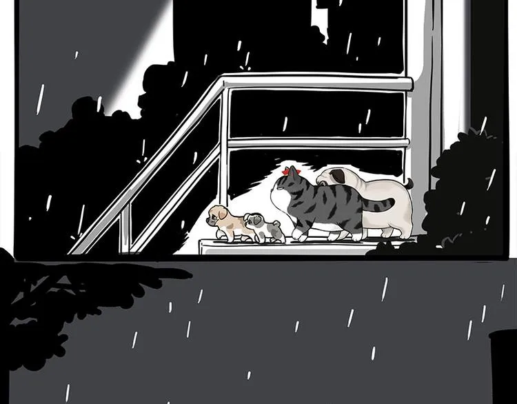 第267话 不让你流浪 第9页